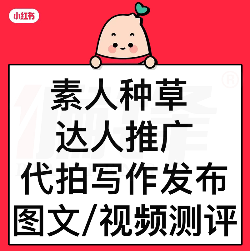 小红书种草综合