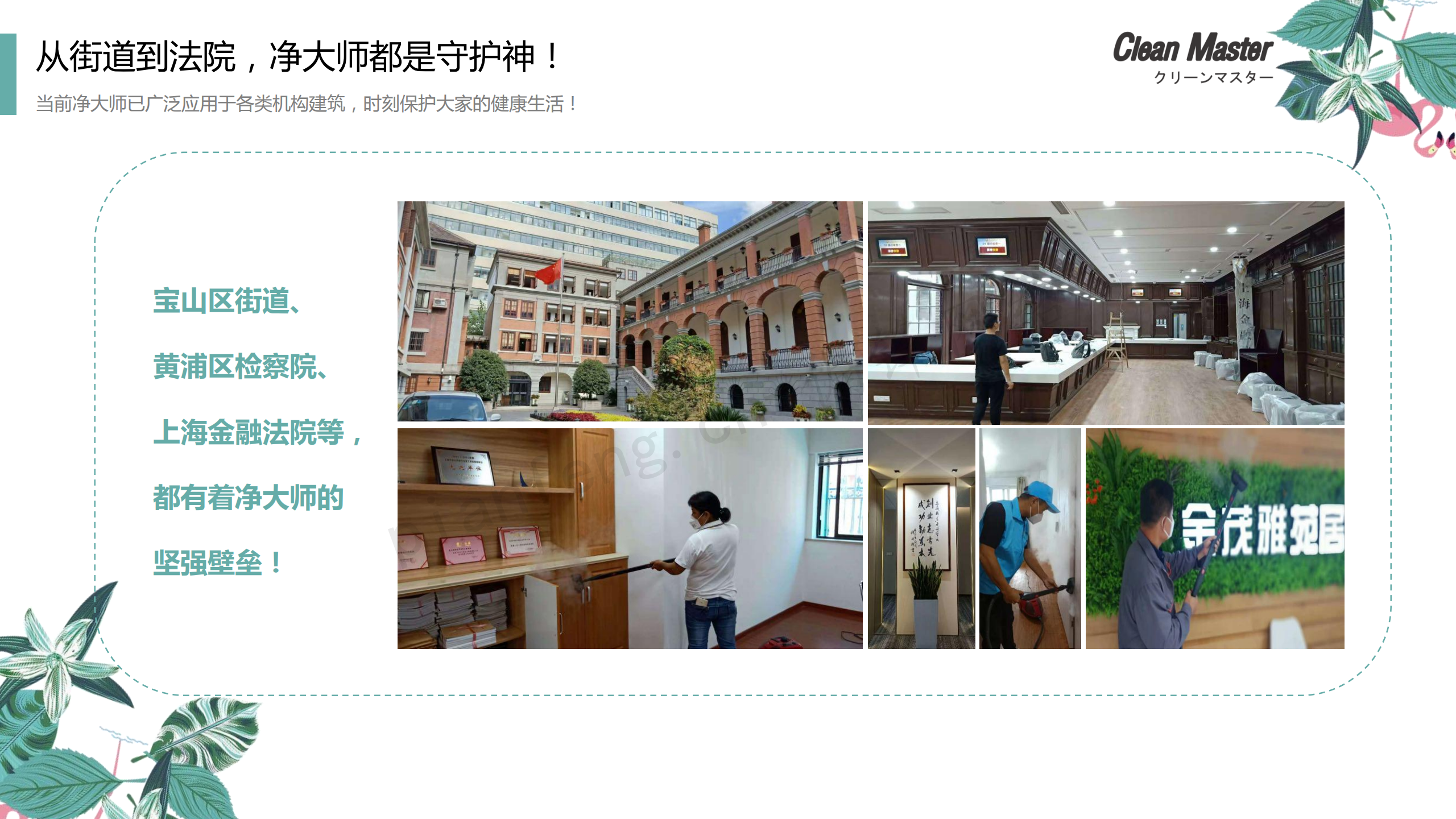 PPT案例|XX生物科技公司净大师产品手册推介品牌小清新色调(图13)