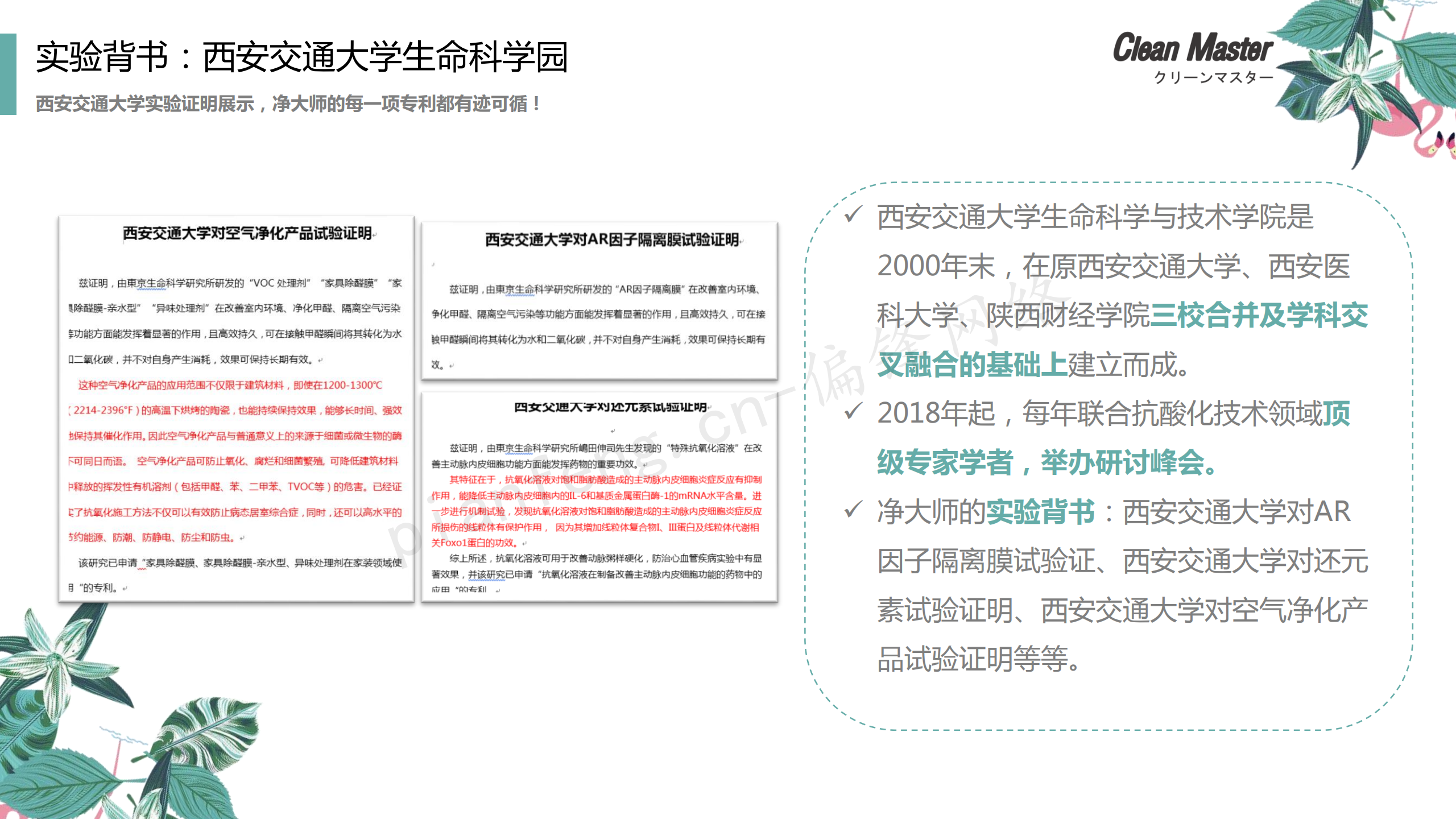PPT案例|XX生物科技公司净大师产品手册推介品牌小清新色调(图20)