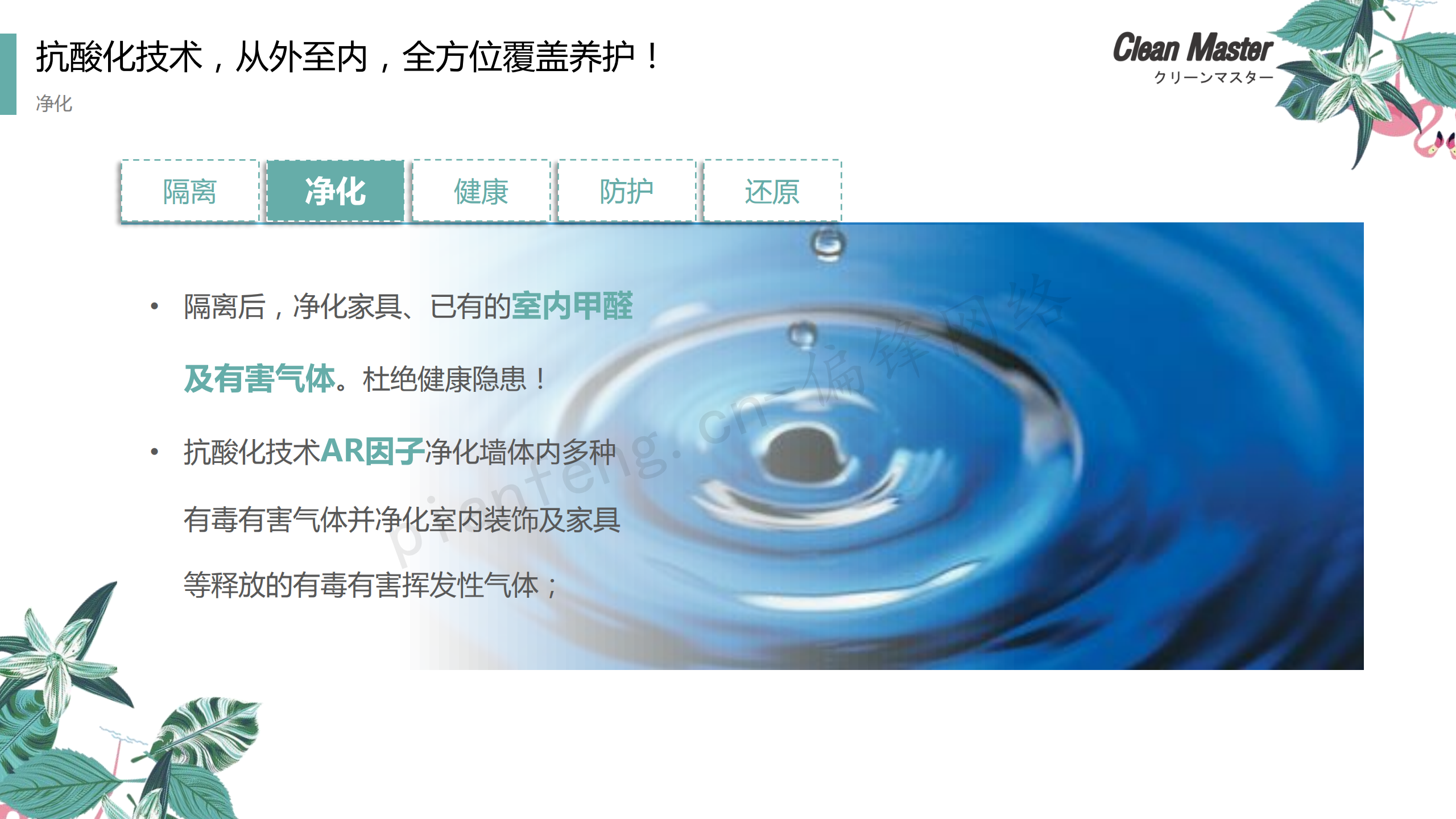 PPT案例|XX生物科技公司净大师产品手册推介品牌小清新色调(图22)