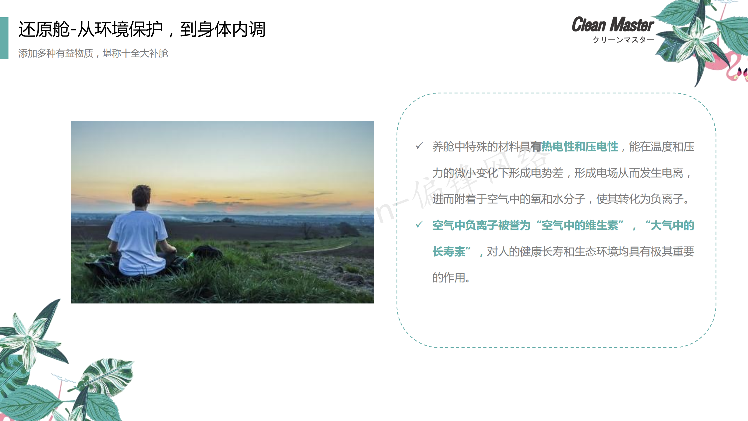 PPT案例|XX生物科技公司净大师产品手册推介品牌小清新色调(图34)