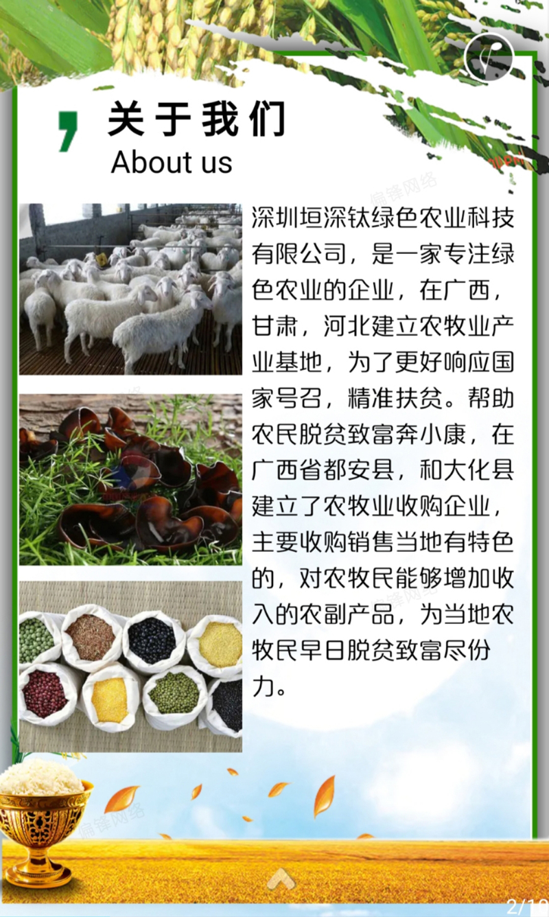 产品推介案例策划设计深圳XXX绿色农业科技——农林牧渔(图3) 产品推介案例策划设计深圳XXX绿色农业科技——农林牧渔(图3)