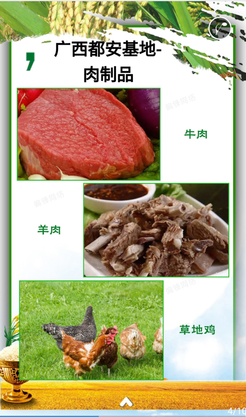 产品推介案例策划设计深圳XXX绿色农业科技——农林牧渔(图5) 产品推介案例策划设计深圳XXX绿色农业科技——农林牧渔(图5)
