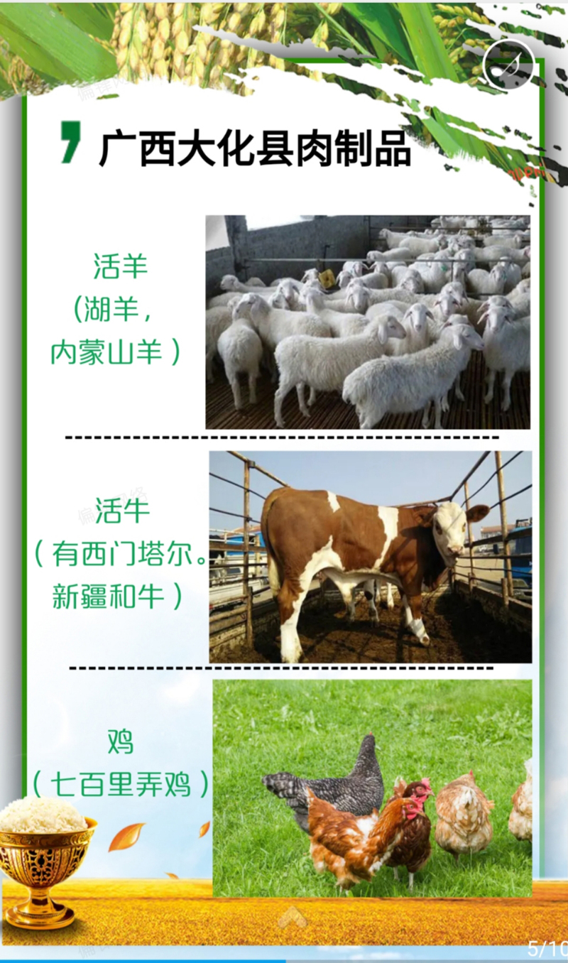 产品推介案例策划设计深圳XXX绿色农业科技——农林牧渔(图6) 产品推介案例策划设计深圳XXX绿色农业科技——农林牧渔(图6)