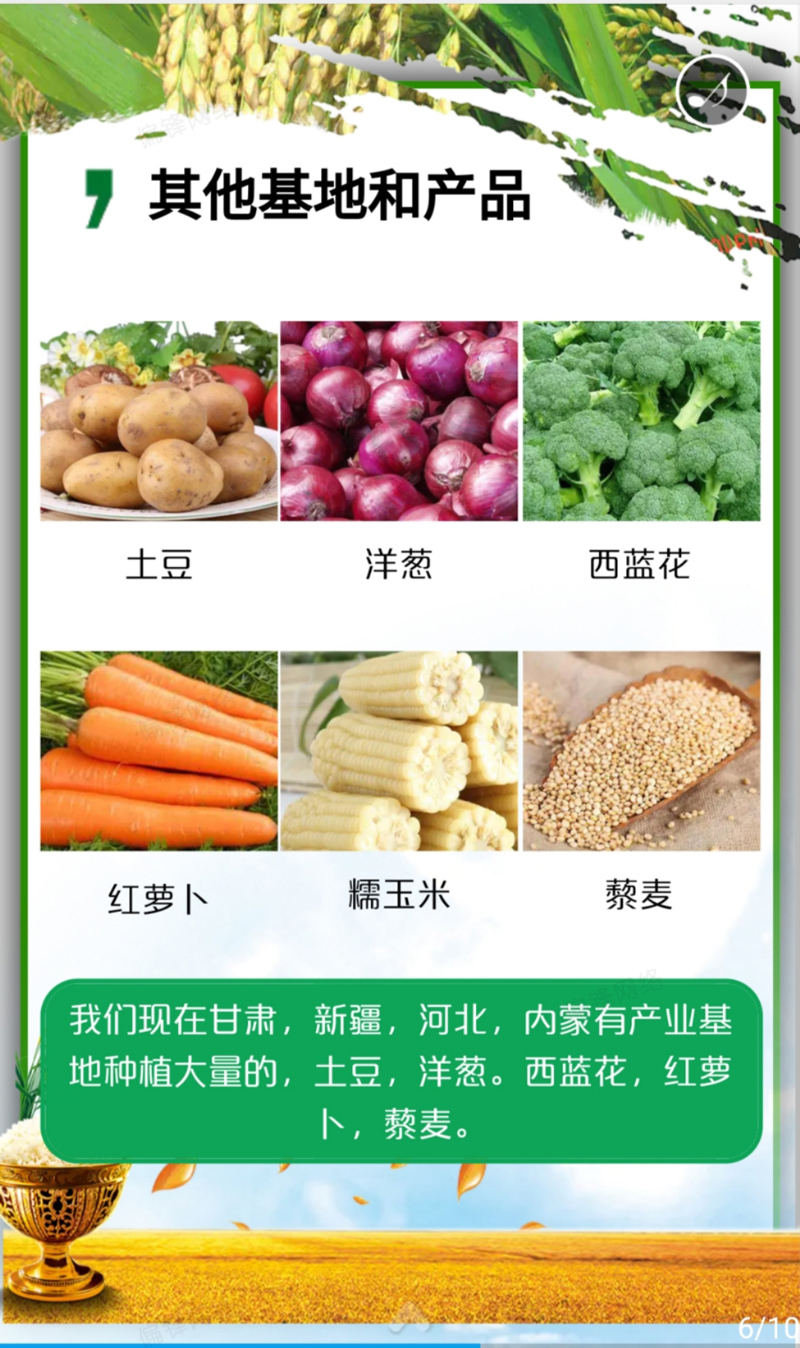 产品推介案例策划设计深圳XXX绿色农业科技——农林牧渔(图7) 产品推介案例策划设计深圳XXX绿色农业科技——农林牧渔(图7)