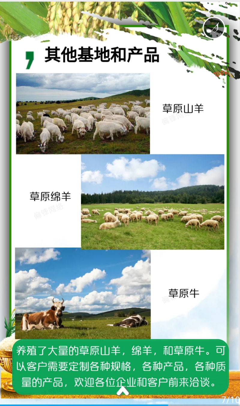 产品推介案例策划设计深圳XXX绿色农业科技——农林牧渔(图8) 产品推介案例策划设计深圳XXX绿色农业科技——农林牧渔(图8)