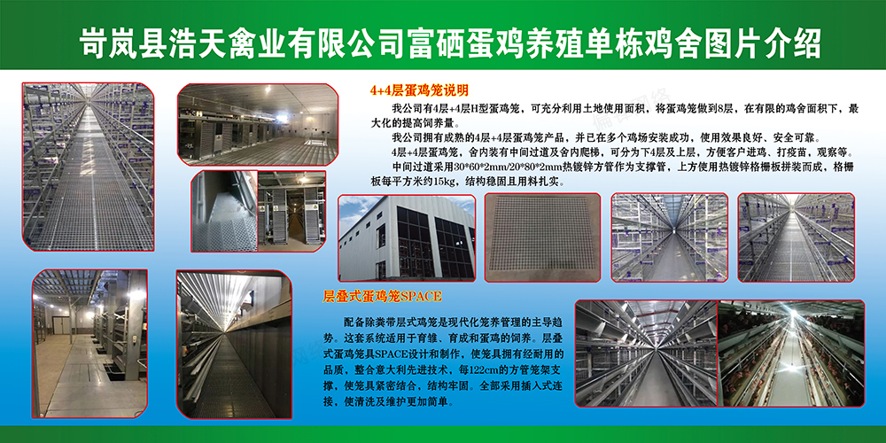 偏锋公司农林牧渔业客户品牌案例文案代写策划设计A000-549(图8) 偏锋公司农林牧渔业客户品牌案例文案代写策划设计A000-549(图8)