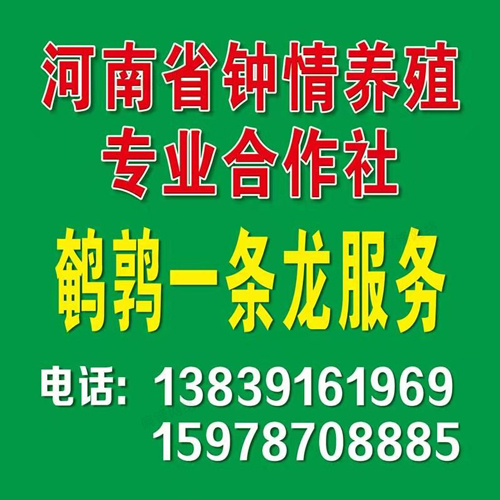 偏锋公司农林牧渔业客户品牌案例文案代写策划设计A000-549(图9) 偏锋公司农林牧渔业客户品牌案例文案代写策划设计A000-549(图9)