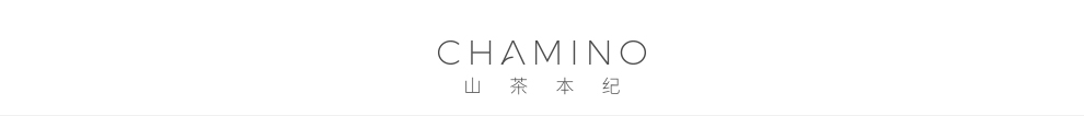 偏锋公司护肤美妆客户品牌策划整合营销全网络推广案例F5134(图11)