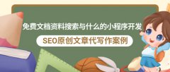 SEO原创文章代写作案例|免费文档资料搜索与什么的小程序开发